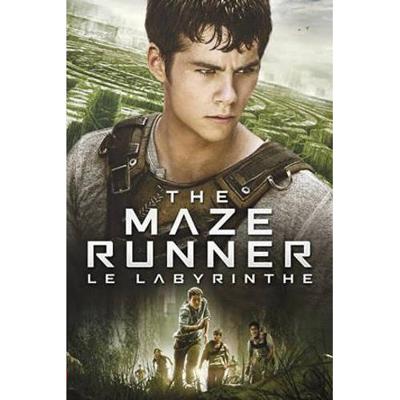 The Maze Runner