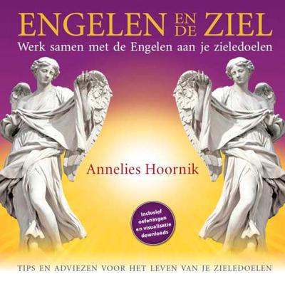 ENGELEN EN DE ZIEL - Werk samen met de Engelen aan je zieledoelen - Annelies Hoornik - Hardcover (9789079995127)