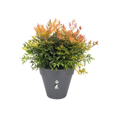 Elho Bloempot Loft Urban Rond Antraciet Ø25cm