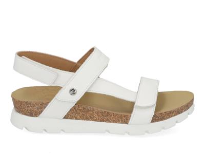 Panama Jack Selma B5 white Wit maat 40