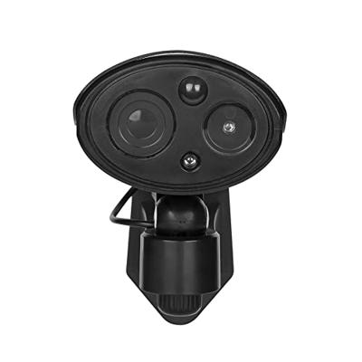 Smartwares CDM-38103 Dummy-camera Met bewegingsmelder, Met knipperende LED Smartwares CDM-38103 Dummy-camera Met bewegingsmelder, Met knipperende LED