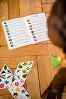 Bordspel Nathan Tridomino Du Jardin (FR) - thumbnail