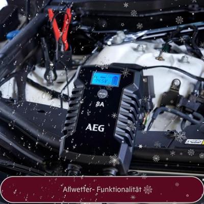 AEG LD8 10618 Oplader 12 V, 24 V 8 A