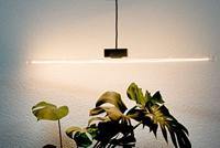 LED lamp Linear clear S14d 6,2W 500mm 2700K 460lm filament Segula dimbaar 55097 - thumbnail