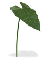 Philodendron kunstbladtak 65 cm - thumbnail