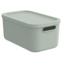 Rotho KAYO Multi Box 39.5×23.5×17.7 cm 12L Sage Green - thumbnail