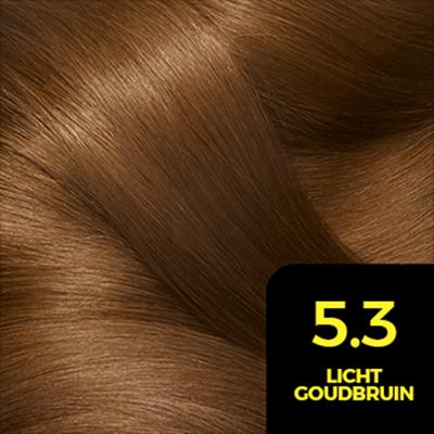 Garnier Olia 5.3 golden brown 1 Set