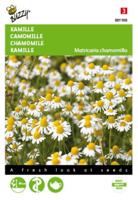 Buzzy® Kamille Zaden - thumbnail