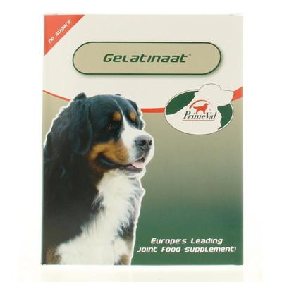 PRIMEVAL GELATINAAT HOND 500 GR