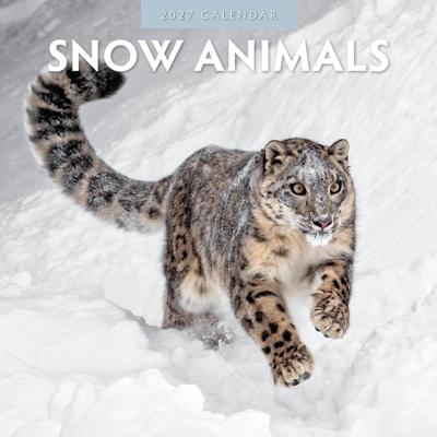 Snow Animals Kalender 2027