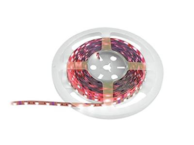 Eurolite 50530136 LED-strip Energielabel: G (A - G) 12 V 5 m RGB 5 m Eurolite 50530136 LED-strip Energielabel: G (A - G) 12 V 5 m RGB 5 m