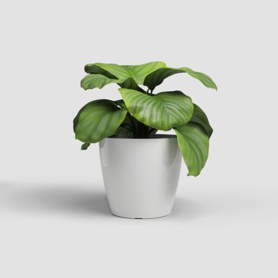 Pot - ARTEVASI - SAN REMO - 42 br - Wit