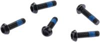 ROCKSHOX bout "fender" screw rs fender 5pcs. fender zeb/pike/lyrik - thumbnail