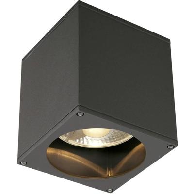 Plafondlamp BIG THEO CEILING OUT antraciet 1xGU10 Plafondlamp BIG THEO CEILING OUT antraciet 1xGU10