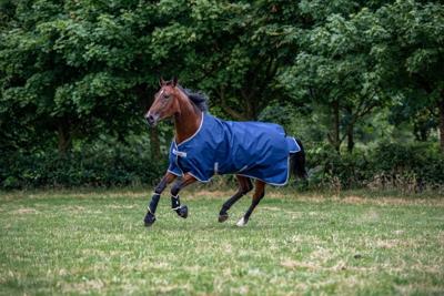 Bucas Freedom light Turnout donkerblauw maat:155 / 6'7