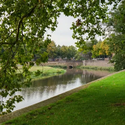 Alexsar Art Tuinschilderij bossche broek 50x50cm