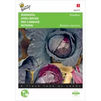 Zaden Rode kool Roodkop Buzzy - Buzzy - thumbnail