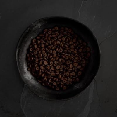 CANAGAN Schotse zalm - droog hondenvoer - 2kg