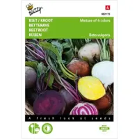 Zaden Bieten Mixed colors Buzzy - Buzzy - thumbnail