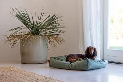 Designed by Lotte Ligkussen hond Nalino - Groen 70 x 55 x 15 cm