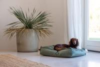 Designed by Lotte DBL REST CH NALINO HOND GROEN - thumbnail