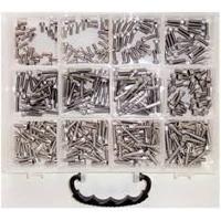 Bofix Doos a 12 vakken rvs inbusbouten assort. - thumbnail