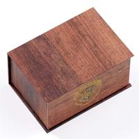 Harry Potter: Hermoine Potions Time Turner Necklace and Earrings Gift Set (Golden Tone) - thumbnail