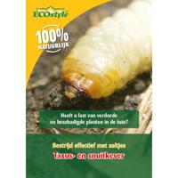 Ecostyle aaltjes tegen larven taxus-kever L 100 m² - thumbnail
