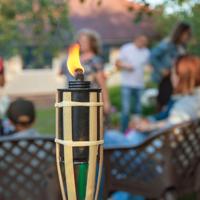 Esschert Design bamboe fakkels 62.5 cm 3 stuks - thumbnail