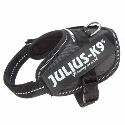 Julius-K9 IDC-Powertuig Baby 33-45cm antraciet