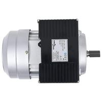 VidaXL Elektromotor 1 fase 1,5 kw/2 kp 2-polig 2800 rpm aluminium - thumbnail