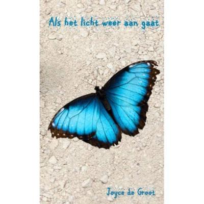 Joyce de Groot Als het licht weer aan gaat