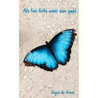 Joyce de Groot Als het licht weer aan gaat - thumbnail