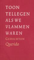 Als we vlammen waren - Toon Tellegen - ebook - thumbnail