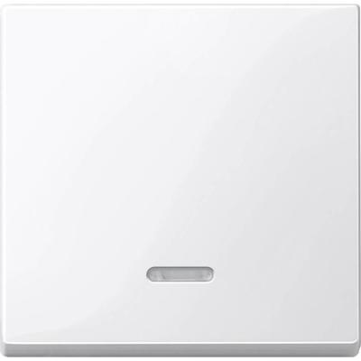 Merten 436019 Controleschakelaar Afdekking System M, 1-M, M-Smart, M-Plan, M-Creativ Polar-wit (glanzend) 1 stuk(s)