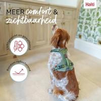 Hondentuigje Company of Animals Groen XS 20-32 cm - thumbnail