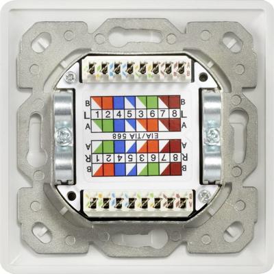 Renkforce Netwerkdoos Inbouw (in muur) Inzet CAT 6A 2 poorten Wit