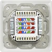 Renkforce Netwerkdoos Inbouw (in muur) Inzet CAT 6A 2 poorten Wit - thumbnail