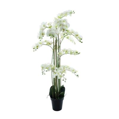 Phalaenopsis Orchidee in pot 140 cm Wit kunstplant Buitengewoon de Boet - Buitengewoon de boet Phalaenopsis Orchidee in pot 140 cm Wit kunstplant Buitengewoon de Boet - Buitengewoon de boet