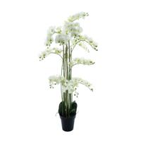 Phalaenopsis Orchidee in pot 140 cm Wit kunstplant Buitengewoon de Boet - Buitengewoon de boet - thumbnail