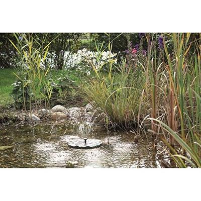 P. solar lily island Pontec - Pontec P. solar lily island Pontec - Pontec