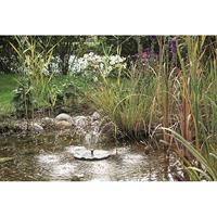 P. solar lily island Pontec - Pontec - thumbnail