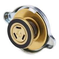 Radiateurdop 29641 - thumbnail