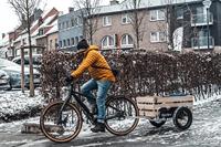 Burley Fietskar flatbed - thumbnail