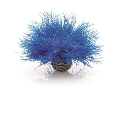 BiOrb zeelelie blauw aquarium decoratie