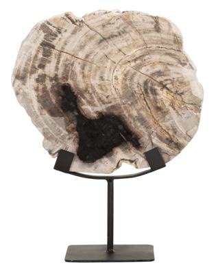 MUST Living Ornament 'Fossil' Versteend hout, 33cm hoog