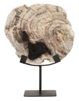 MUST Living Ornament 'Fossil' Versteend hout, 33cm hoog - thumbnail