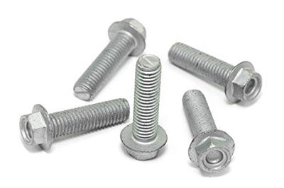 TRW bouten set screw set 5pcs. m8x1,25