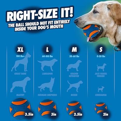 CHUCKIT ULTRA SQUEAKER BAL MEDIUM 6 CM - thumbnail