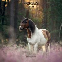 Paarden Kalender 2026 - thumbnail